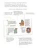 Miniatura página 6 de Proyectos de Aula.   Libro de Educación Primaria Grado 2°  Ciclo Escolar 2025 - 2026