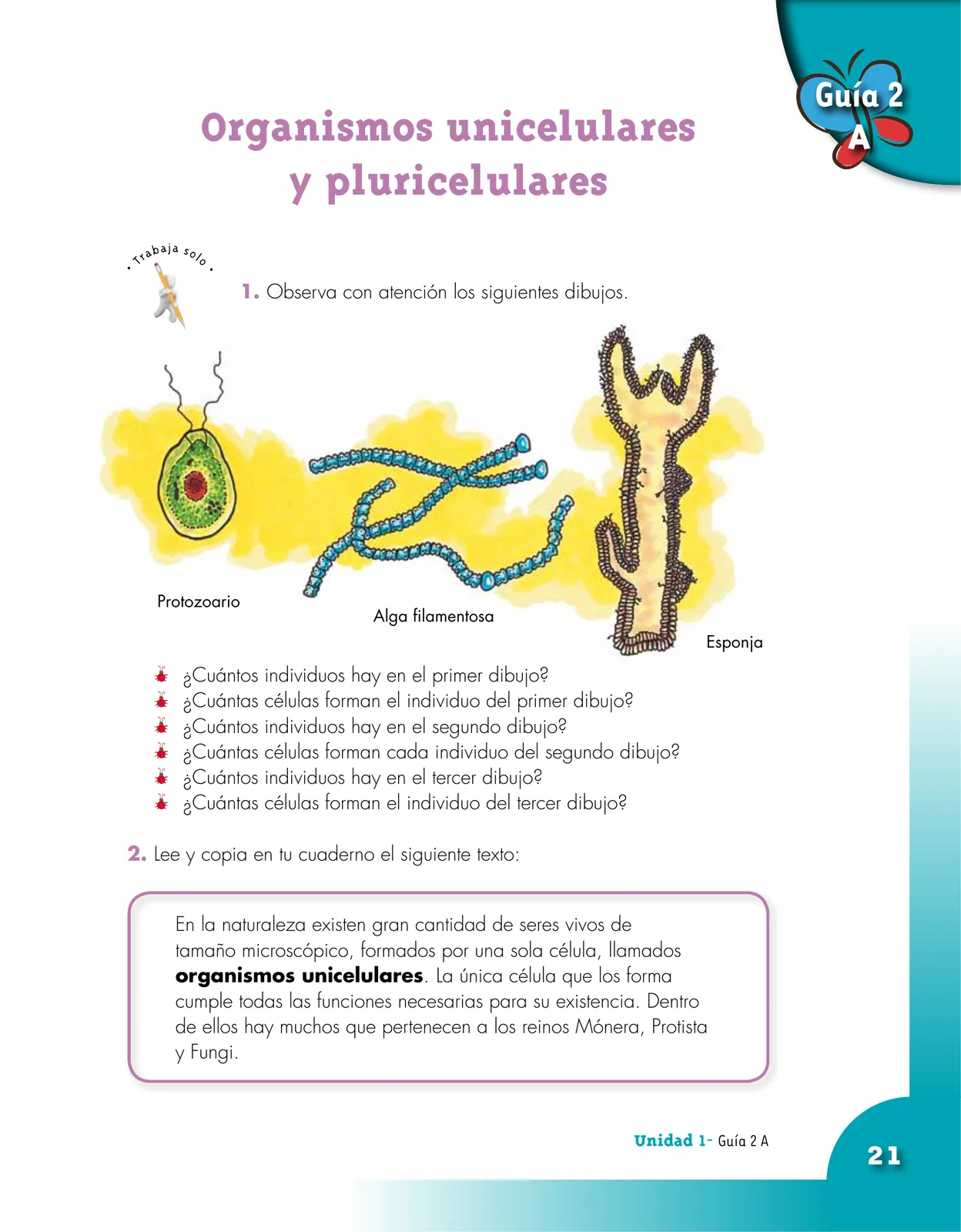 Miniatura página 21 de Ciencias Naturales 5° · Cartilla 01