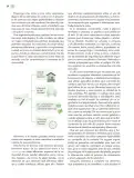 Miniatura página 125 de Modalidades de trabajo para la acción transformadora y el codiseño  Libro de Educación Preescolar Grado 1°, 2°, 3°  Ciclo Escolar 2025 - 2026