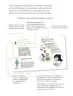 Miniatura página 6 de Proyectos de Aula.   Libro de Educación Primaria Grado 4°  Ciclo Escolar 2025 - 2026