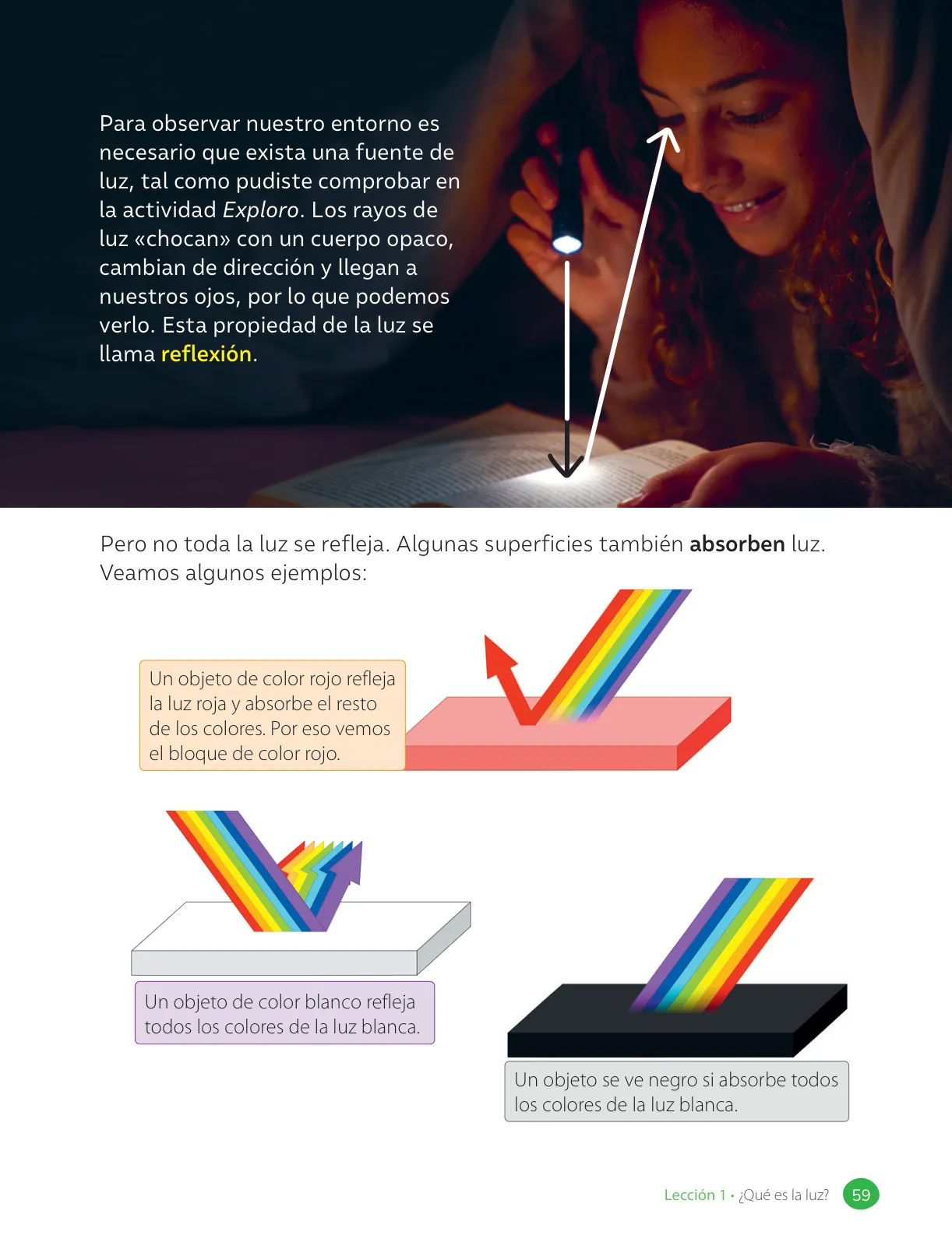 Miniatura página 61 de Ciencias Naturales – Tercero Básico | Texto del Estudiante MINEDUC – Descargar PDF · 2024