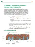 Miniatura página 245 de Colección Ximhai. Saberes y pensamiento científico.   Libro de Educación Telesecundaria Grado 1°  Ciclo Escolar 2025 - 2026