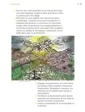 Miniatura página 74 de Proyectos de Aula.   Libro de Educación Primaria Grado 3°  Ciclo Escolar 2025 - 2026