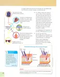 Miniatura página 59 de Ciencias Naturales 7° · 2025