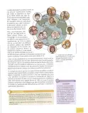 Miniatura página 42 de Estudios Sociales 8° · 2025