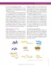 Miniatura página 135 de Ciencias Naturales 9° · Secundaria Activa