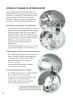 Miniatura página 13 de Ciencias Naturales – Séptimo Básico | Texto del Estudiante MINEDUC – Descargar PDF · 2024