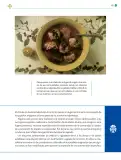 Miniatura página 102 de Colección Nanahuatzin. Lenguajes.   Libro de Educación Telesecundaria Grado 3°  Ciclo Escolar 2025 - 2026