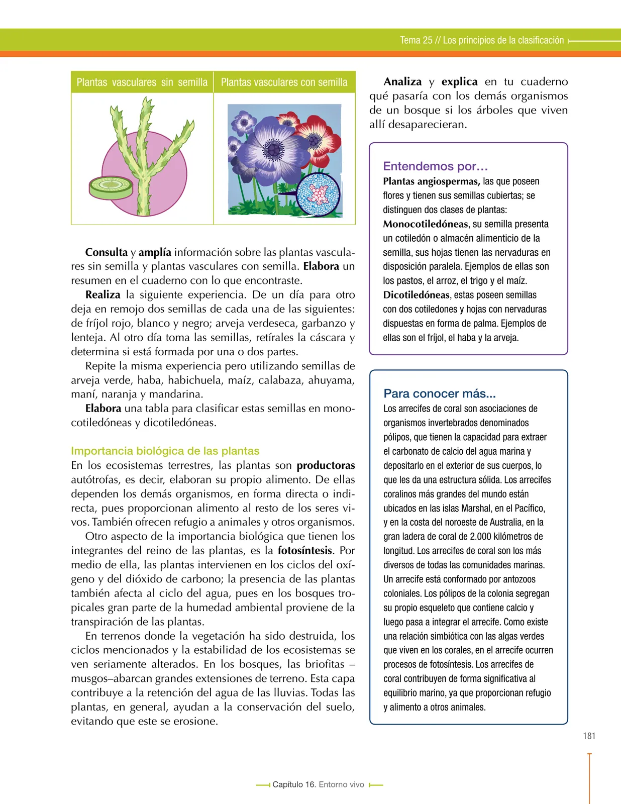 Página 185 de Ciencias Naturales 6° · Secundaria Activa
