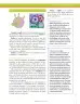 Miniatura página 185 de Ciencias Naturales 6° · Secundaria Activa
