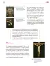 Miniatura página 258 de Colección Nanahuatzin. Lenguajes.   Libro de Educación Secundaria Grado 3°  Ciclo Escolar 2025 - 2026