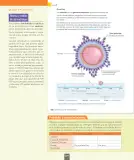 Miniatura página 103 de Ciencias Naturales – Séptimo Básico | Texto del Estudiante MINEDUC – Descargar PDF · 2024