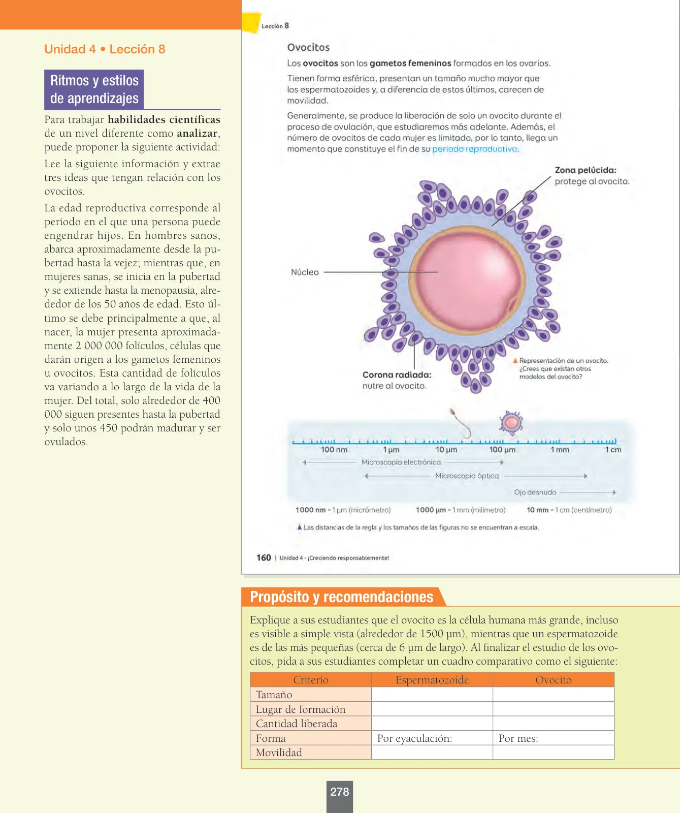 Miniatura página 103 de Ciencias Naturales – Séptimo Básico | Texto del Estudiante MINEDUC – Descargar PDF · 2024