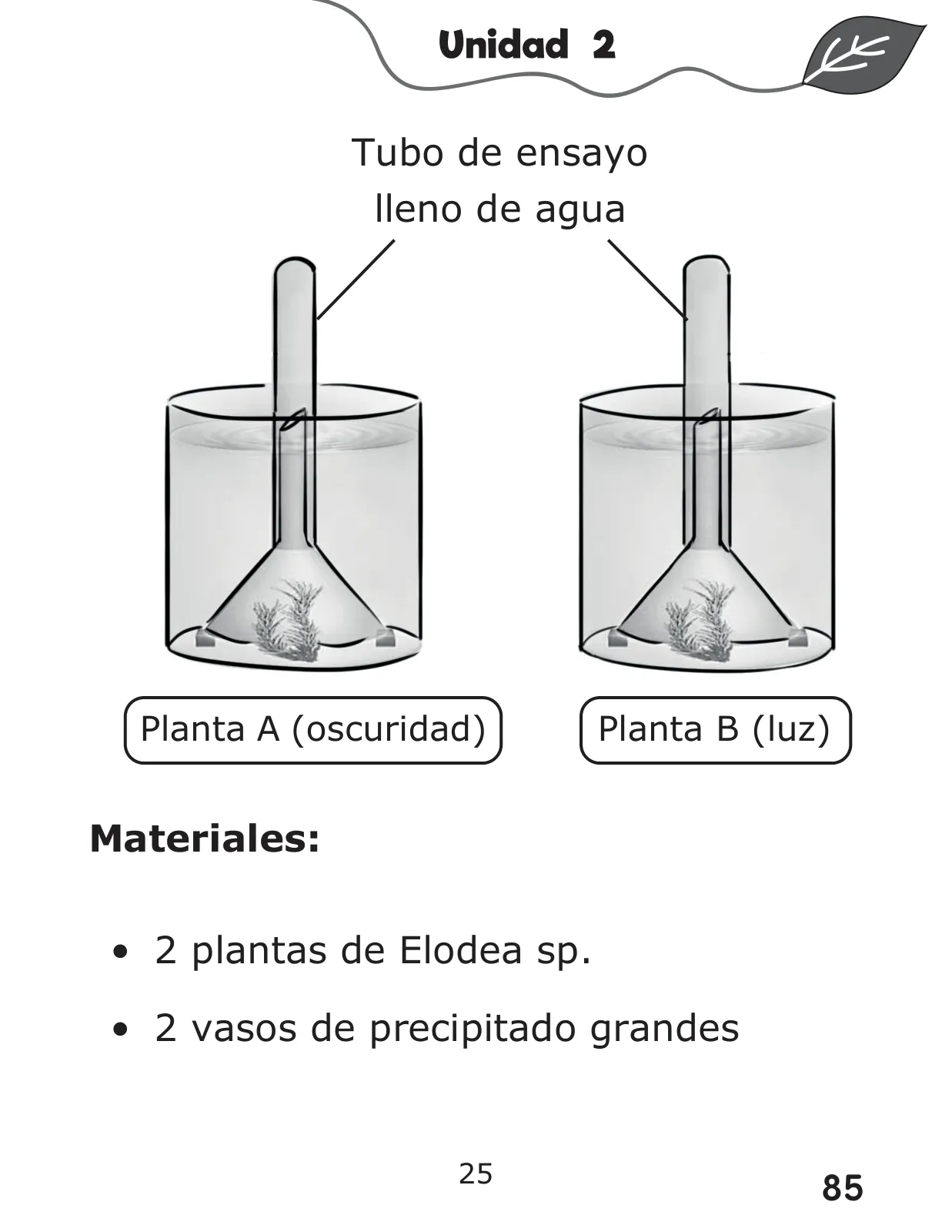 Página 85 de Libro de Ciencias Naturales – Quinto Básico | Texto del Estudiante MINEDUC – Descargar PDF · 2024