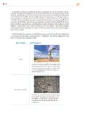 Miniatura página 159 de Colección Nanahuatzin. Saberes y pensamiento científico.   Libro de Educación Secundaria Grado 3°  Ciclo Escolar 2025 - 2026