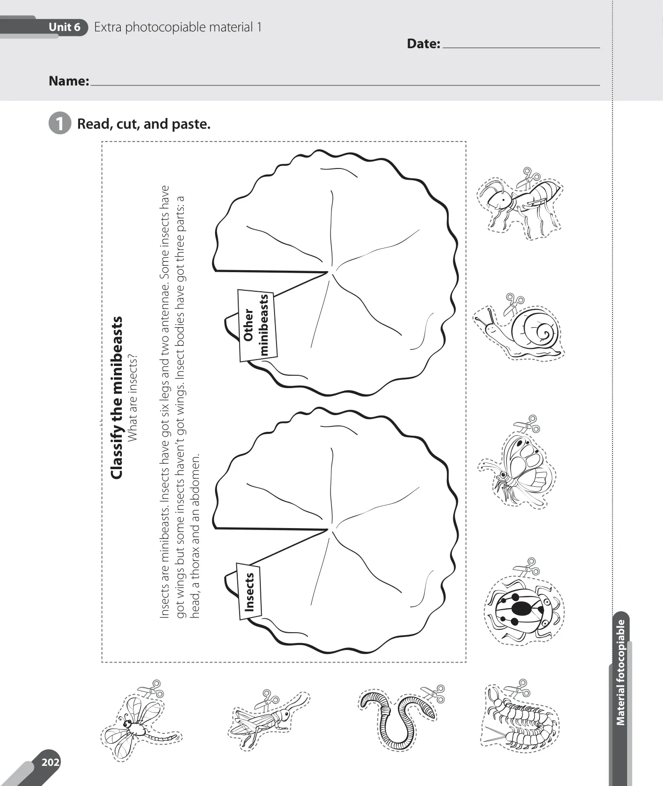 Página 66 de Inglés – Cuarto Básico | Texto del Estudiante MINEDUC – Descargar PDF · 2024
