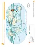 Miniatura página 136 de Cartografía de México y el mundo.   Libro de Educación Primaria Grado 4°  Ciclo Escolar 2025 - 2026