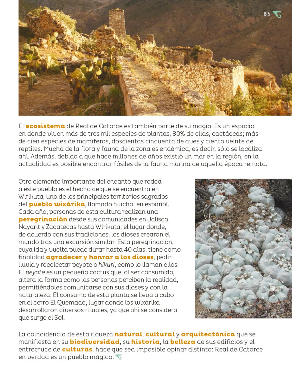 Página 196 de Múltiples lenguajes. Libro de Educación Primaria Grado 6° Ciclo Escolar 2025 - 2026