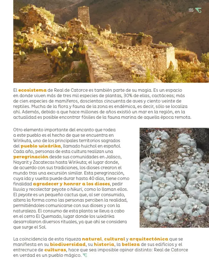 Página 196 de Múltiples lenguajes. Libro de Educación Primaria Grado 6° Ciclo Escolar 2025 - 2026