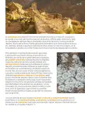 Miniatura página 196 de Múltiples lenguajes.   Libro de Educación Primaria Grado 6°  Ciclo Escolar 2025 - 2026