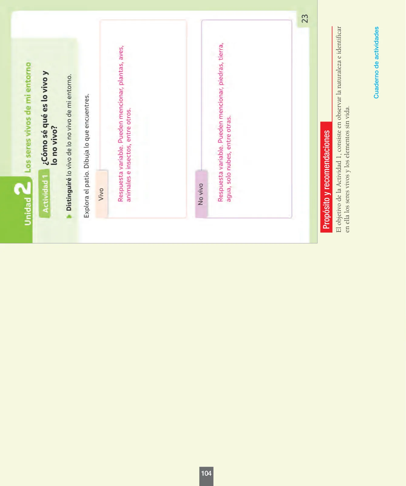 Página 105 de Ciencias Naturales – Primero Básico | Texto del Estudiante (MINEDUC) – Descargar PDF · 2024
