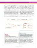Miniatura página 167 de Ciencias Naturales 7° · Secundaria Activa