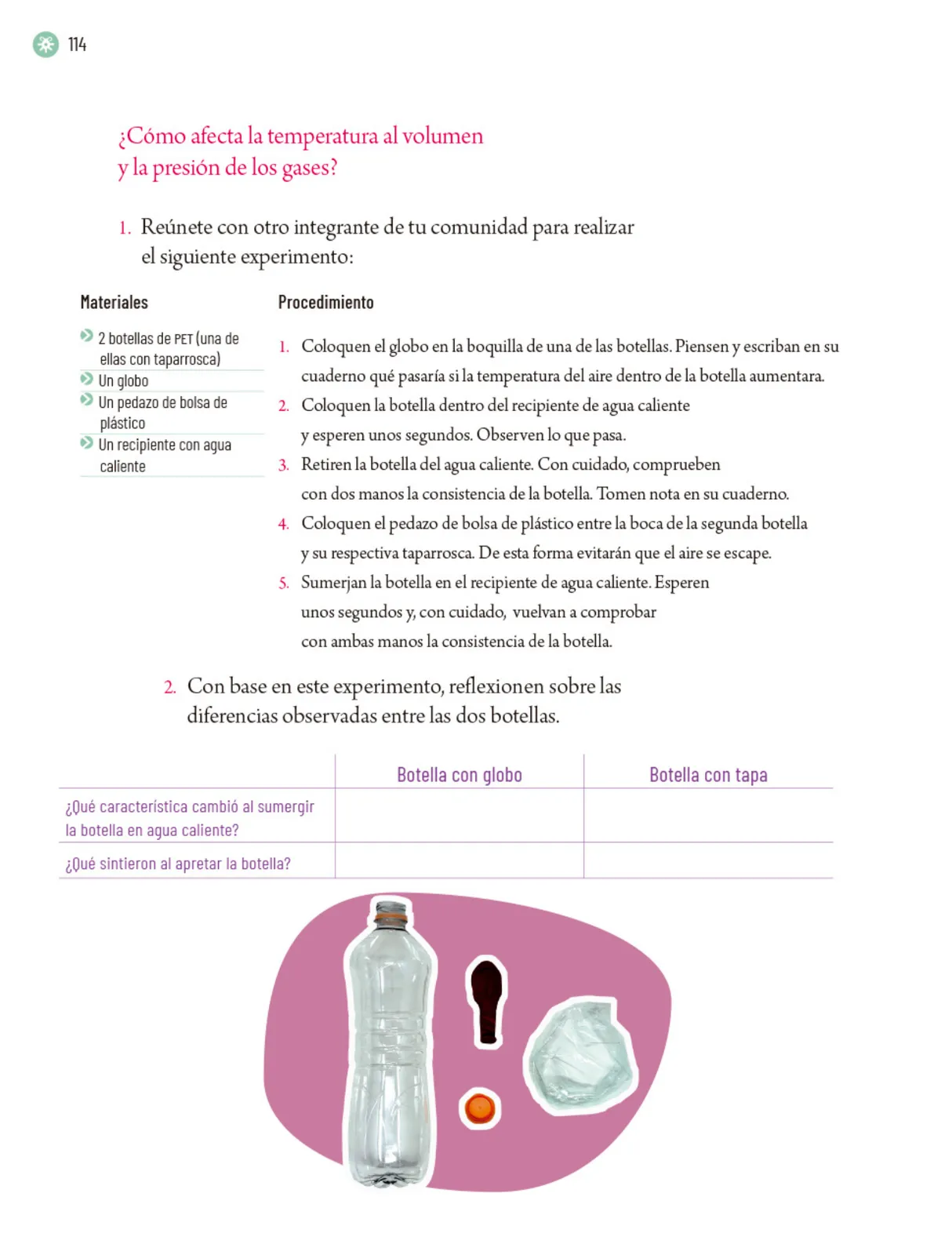 Miniatura página 117 de Proyectos Escolares.   Libro de Educación Primaria Grado 5°  Ciclo Escolar 2025 - 2026