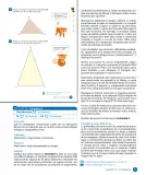 Miniatura página 63 de Sumo Primero – Quinto Básico | Texto del Estudiante MINEDUC – Descargar PDF · 2024