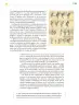 Miniatura página 180 de Colección Ximhai. Ética, naturaleza y sociedades.   Libro de Educación Telesecundaria Grado 1°  Ciclo Escolar 2025 - 2026