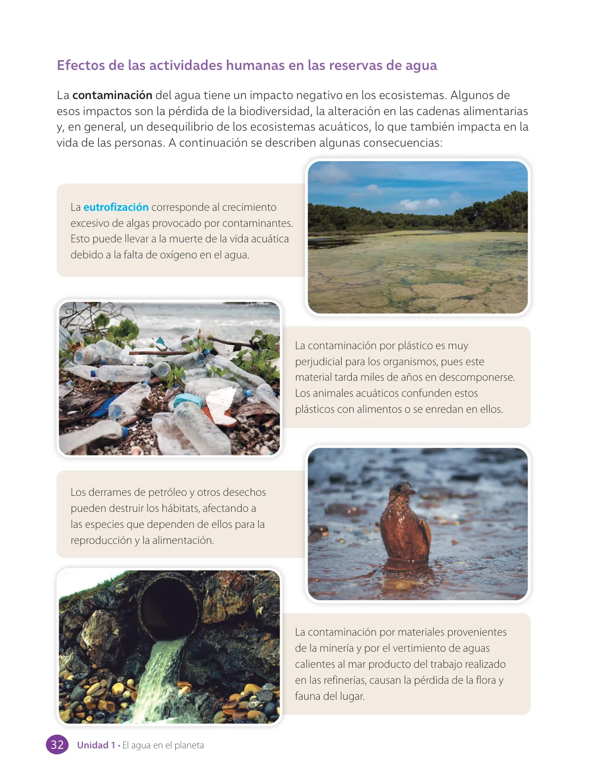 Página 34 de Libro de Ciencias Naturales – Quinto Básico | Texto del Estudiante MINEDUC – Descargar PDF · 2024