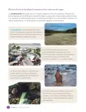Miniatura página 34 de Libro de Ciencias Naturales – Quinto Básico | Texto del Estudiante MINEDUC – Descargar PDF · 2024