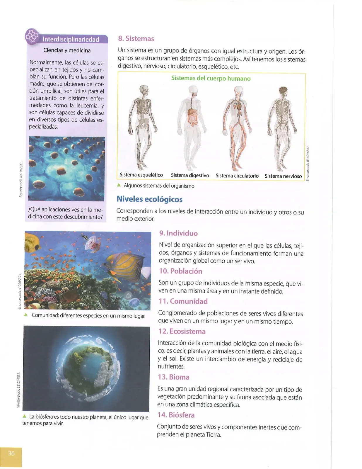 Página 35 de Ciencias Naturales · 8 EGB · 2025