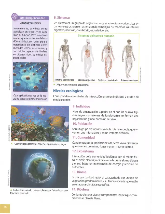 Página 35 de Ciencias Naturales 8° · Egb 8 Ciencias Naturales 2025 · 2025