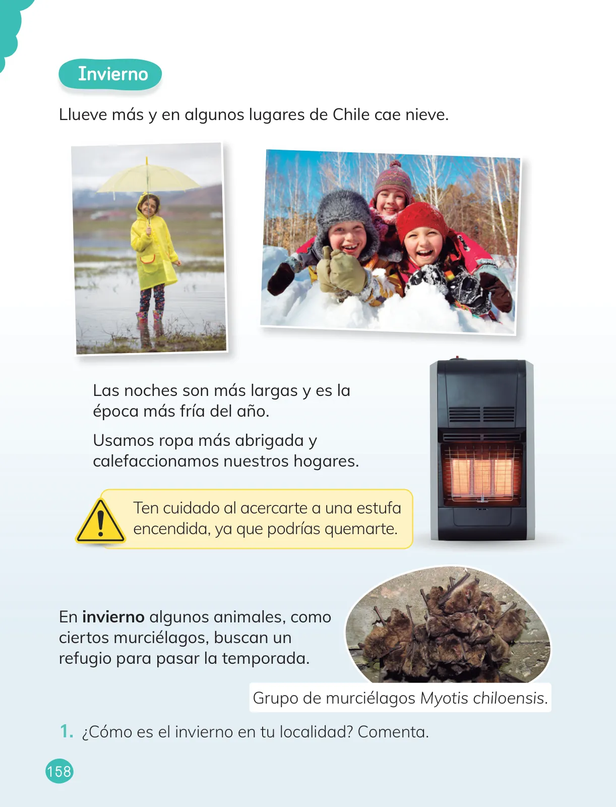 Miniatura página 160 de Ciencias Naturales – Primero Básico | Texto del Estudiante (MINEDUC) – Descargar PDF · 2024