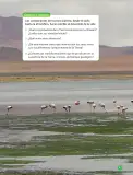 Miniatura página 49 de Libro de Ciencias Naturales – Quinto Básico | Texto del Estudiante MINEDUC – Descargar PDF · 2024