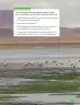 Miniatura página 49 de Libro de Ciencias Naturales – Quinto Básico | Texto del Estudiante MINEDUC – Descargar PDF · 2024