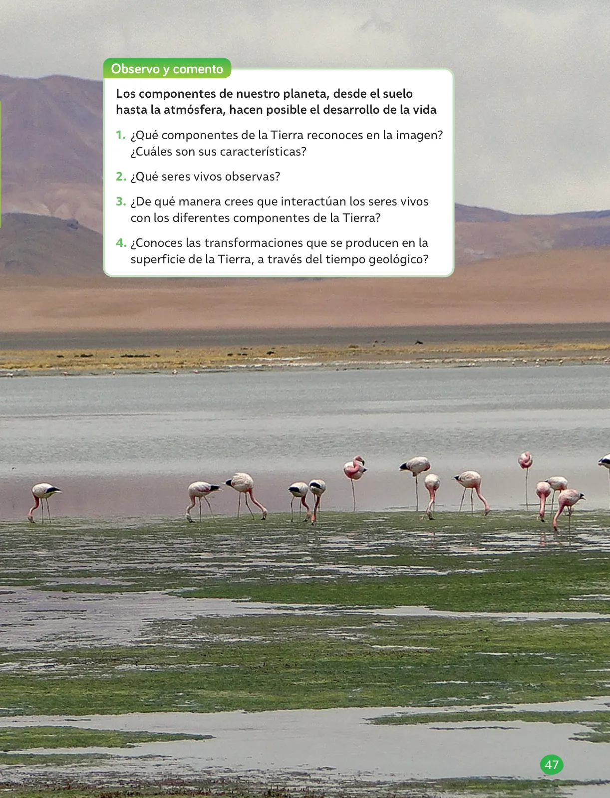Miniatura página 49 de Libro de Ciencias Naturales – Quinto Básico | Texto del Estudiante MINEDUC – Descargar PDF · 2024