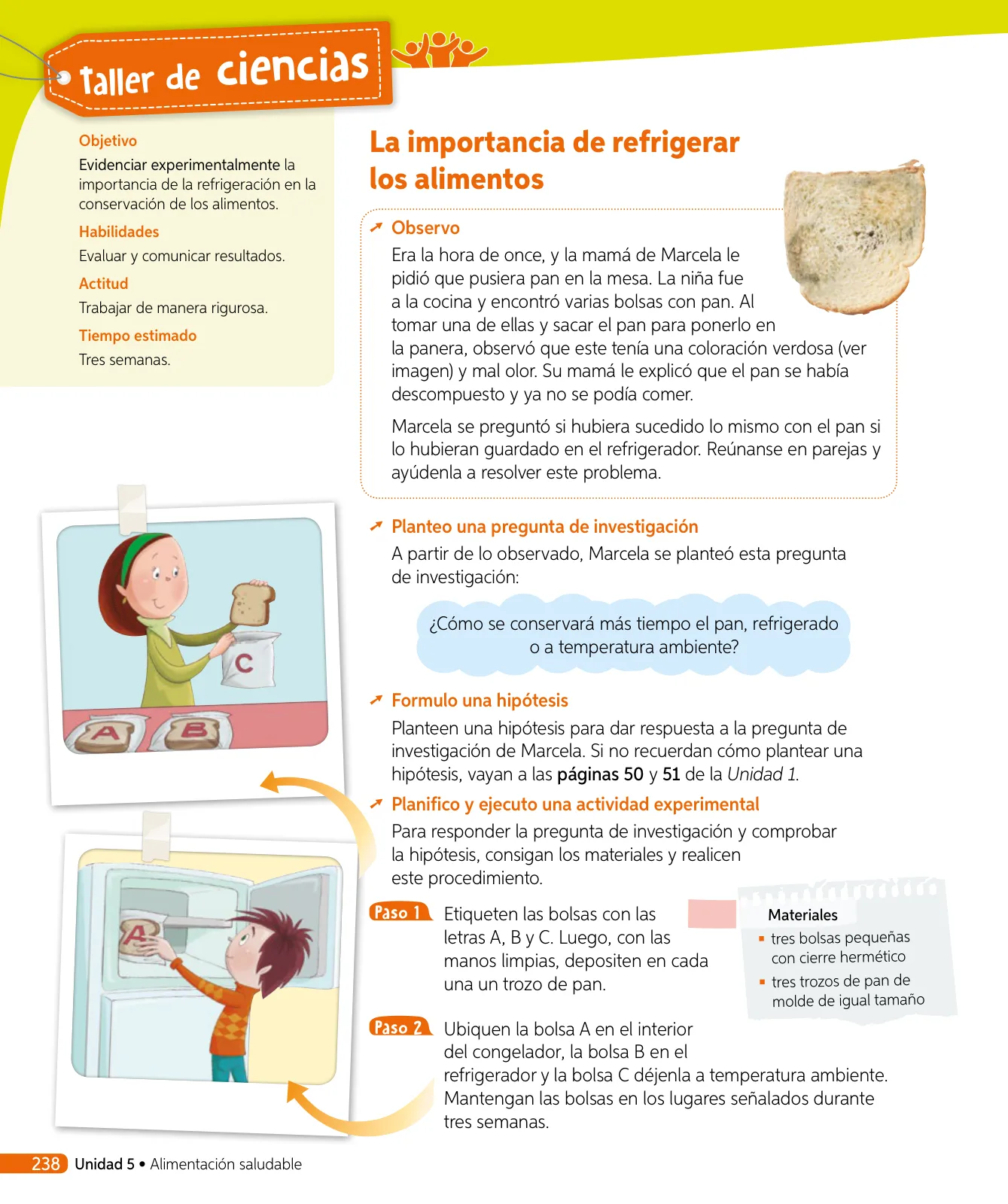 Miniatura página 257 de Ciencias Naturales – Tercero Básico | Texto del Estudiante MINEDUC – Descargar PDF · 2024