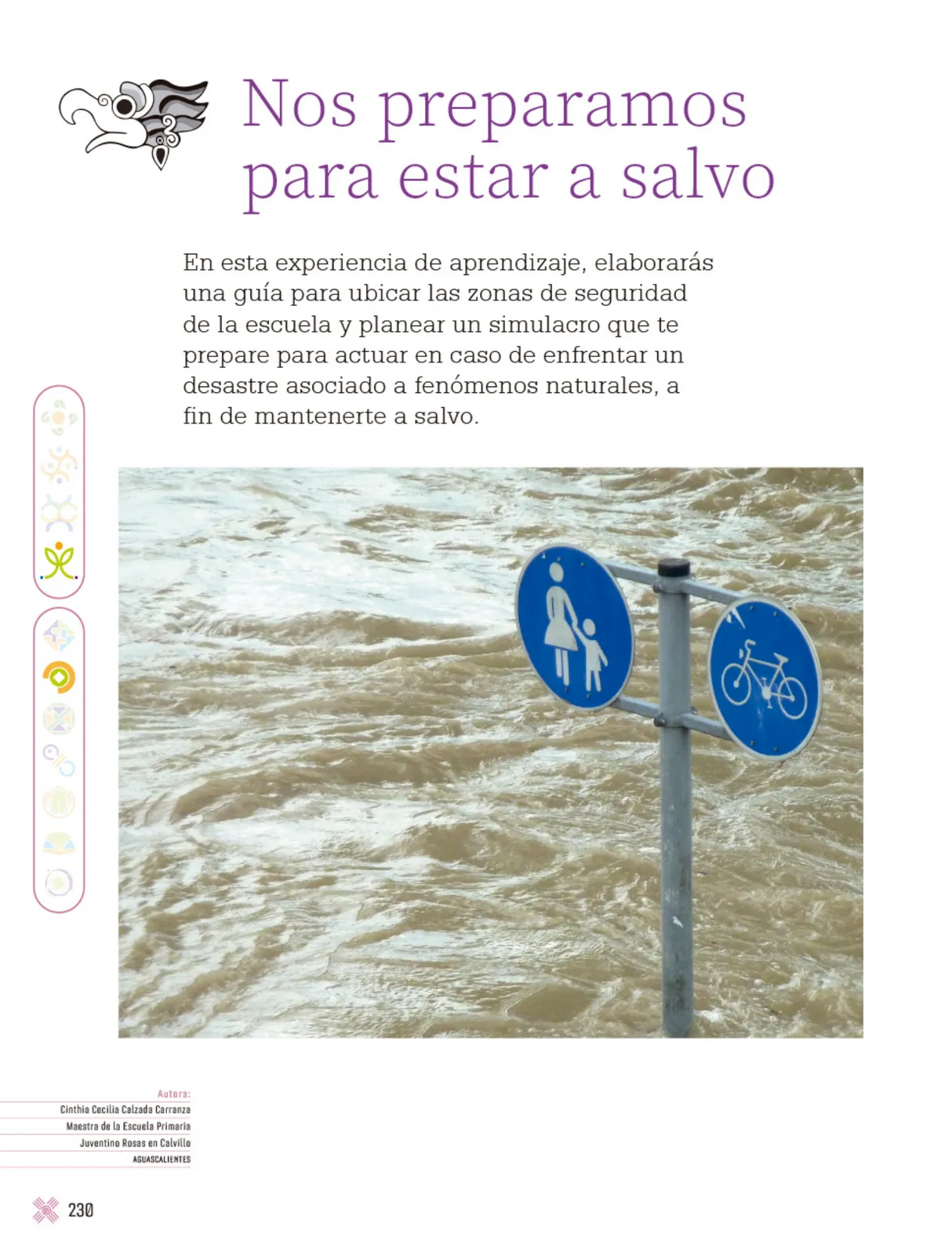 Pág 233