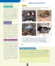 Miniatura página 83 de Ciencias Naturales – Segundo Básico | Texto del Estudiante MINEDUC – Descargar PDF · 2024