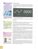 Miniatura página 21 de Ciencias Naturales 10° · 2025