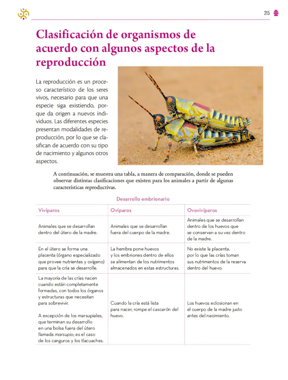 Página 216