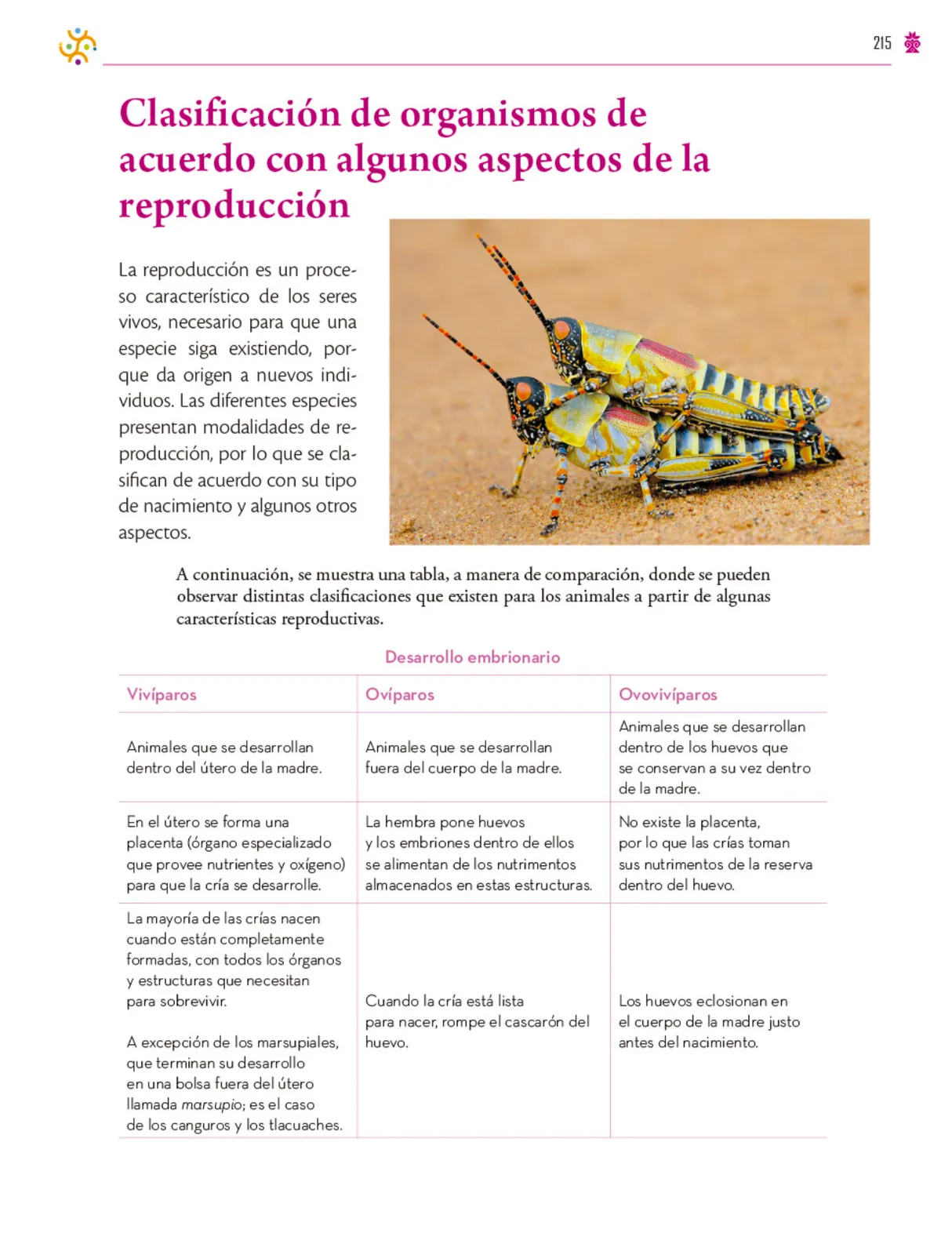 Miniatura página 216 de Colección Ximhai. Saberes y pensamiento científico.   Libro de Educación Secundaria Grado 1°  Ciclo Escolar 2025 - 2026