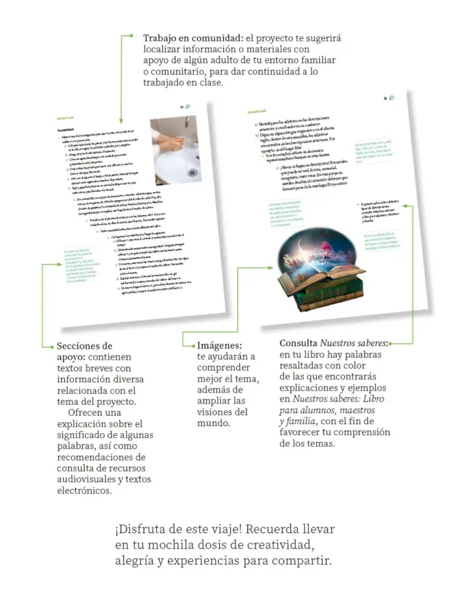 Página 7 de Proyectos de Aula. Libro de Educación Primaria Grado 6° Ciclo Escolar 2025 - 2026