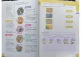 Miniatura página 19 de Ciencias Naturales 3° · Egb 3 Ciencias Naturales 2024 · 2024