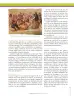 Miniatura página 257 de Ciencias Sociales 8° · Secundaria Activa