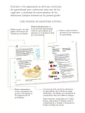 Miniatura página 6 de Proyectos de Aula.   Libro de Educación Primaria Grado 1°  Ciclo Escolar 2025 - 2026