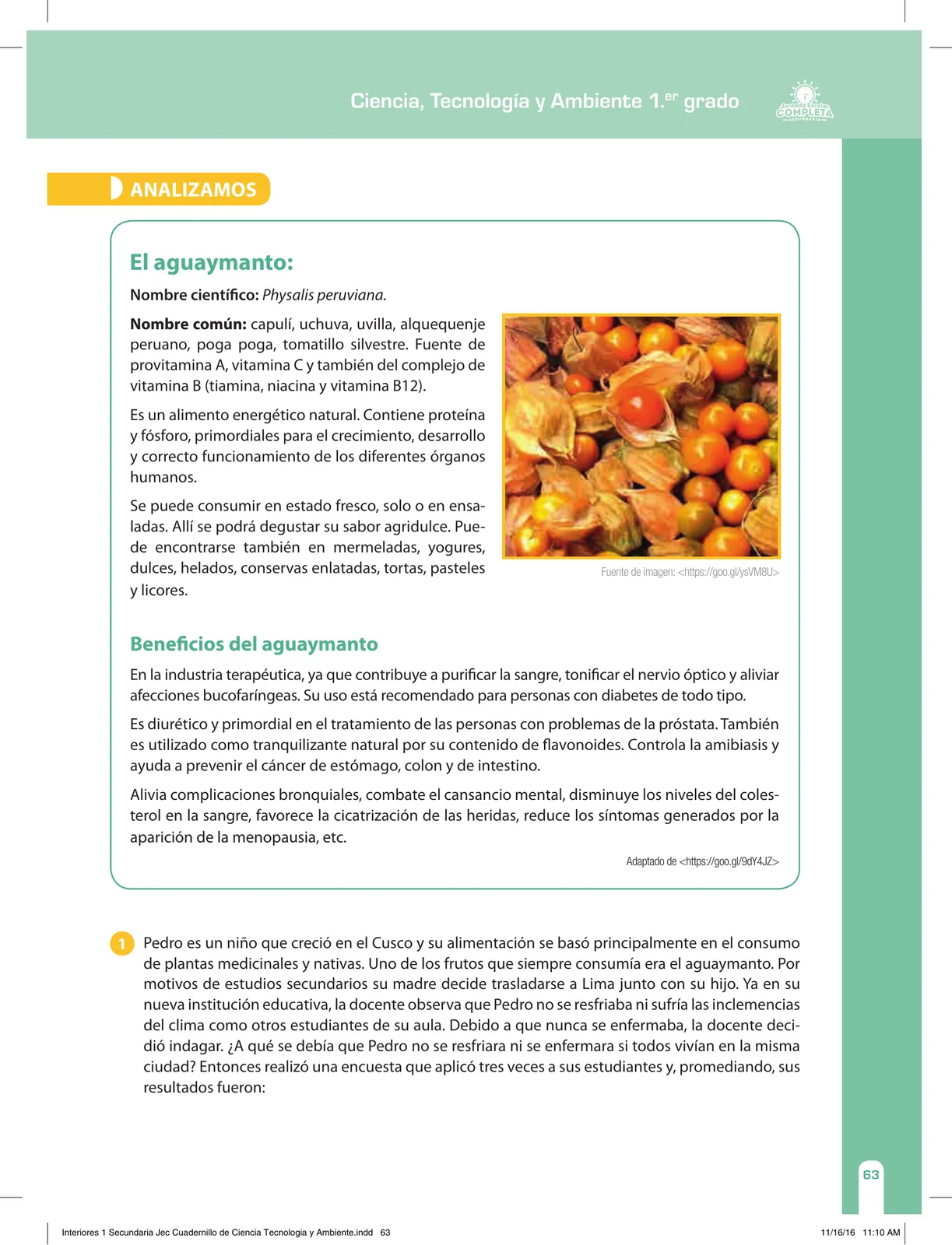 Página 63 de Ciencia, Tecnología y Ambiente 1. Cuaderno de reforzamiento pedagógico - JEC · 2016
