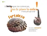 Miniatura página 31 de Múltiples lenguajes.   Libro de Educación Preescolar Grado 1°  Ciclo Escolar 2025 - 2026