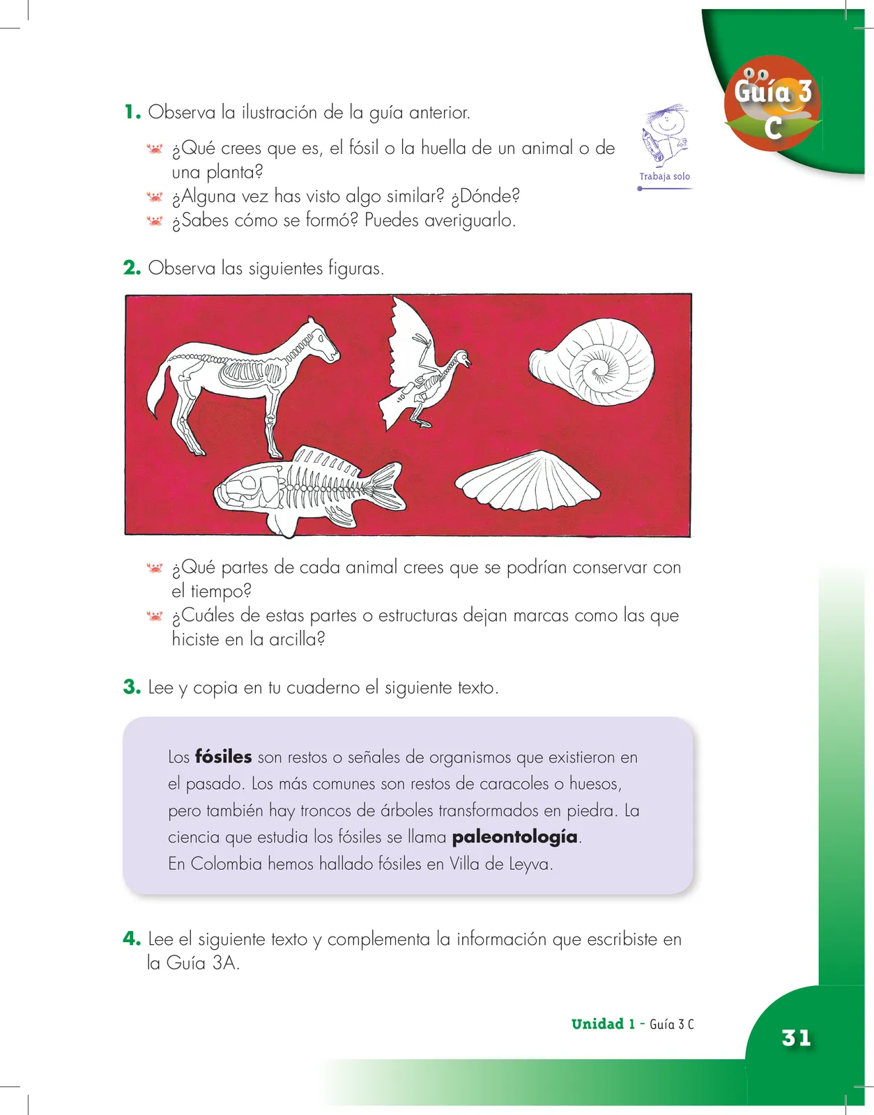 Miniatura página 31 de Ciencias Naturales 3° · Cartilla 01